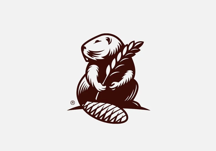 logo商標(biāo)設(shè)計(jì)要求有哪些？條件是什么