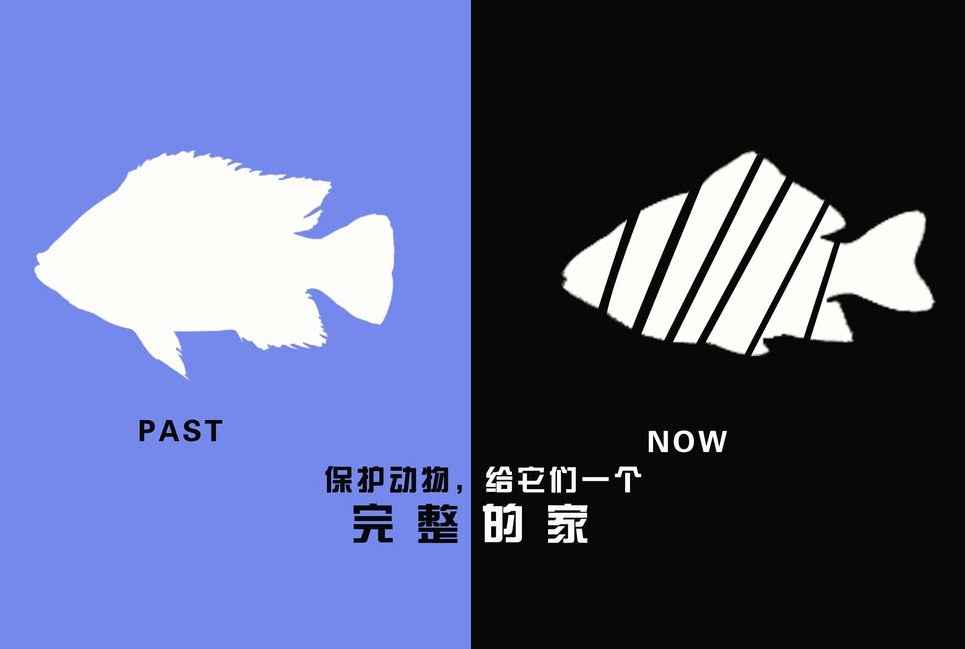 廣告設計制作有哪些要求？有哪些注意事項？
